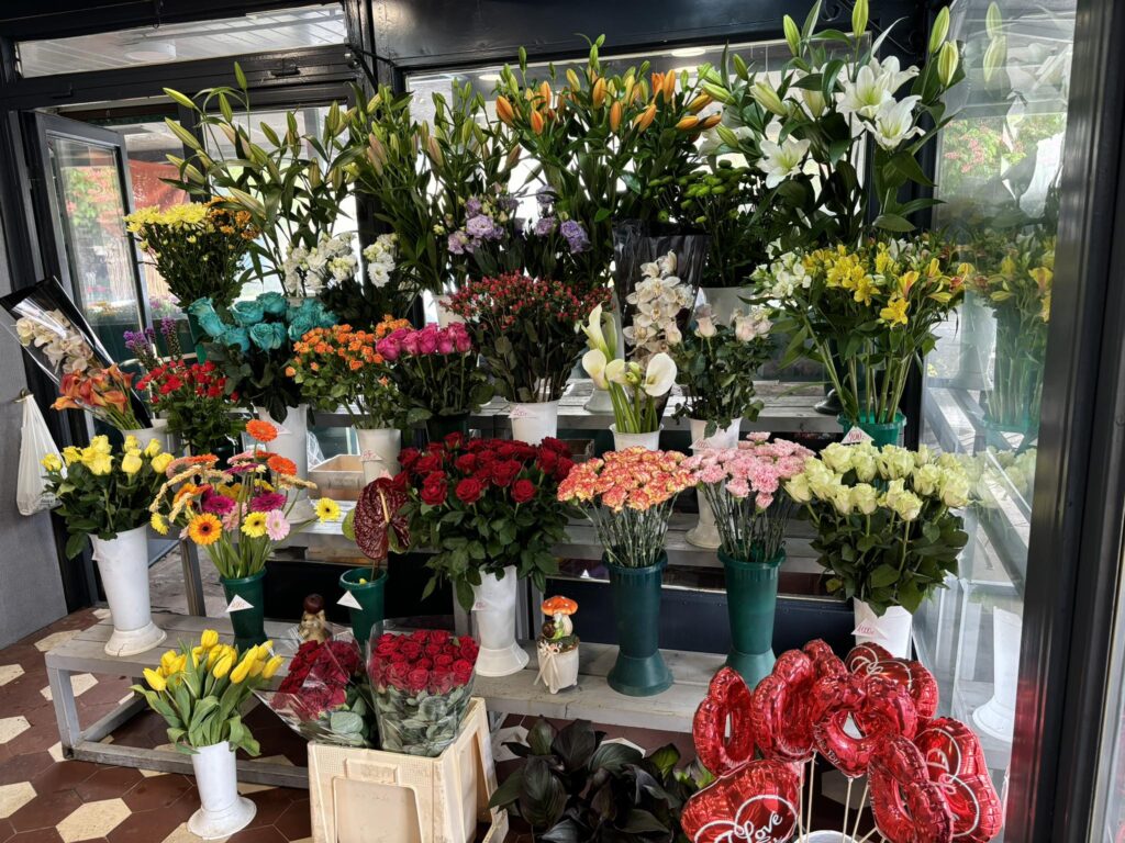 469302884 122164767782272540 5116849228824017851 n