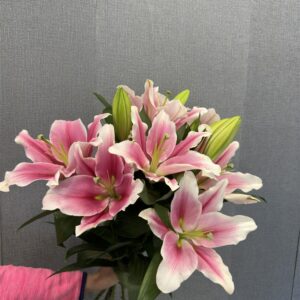 5 szál királyliliom