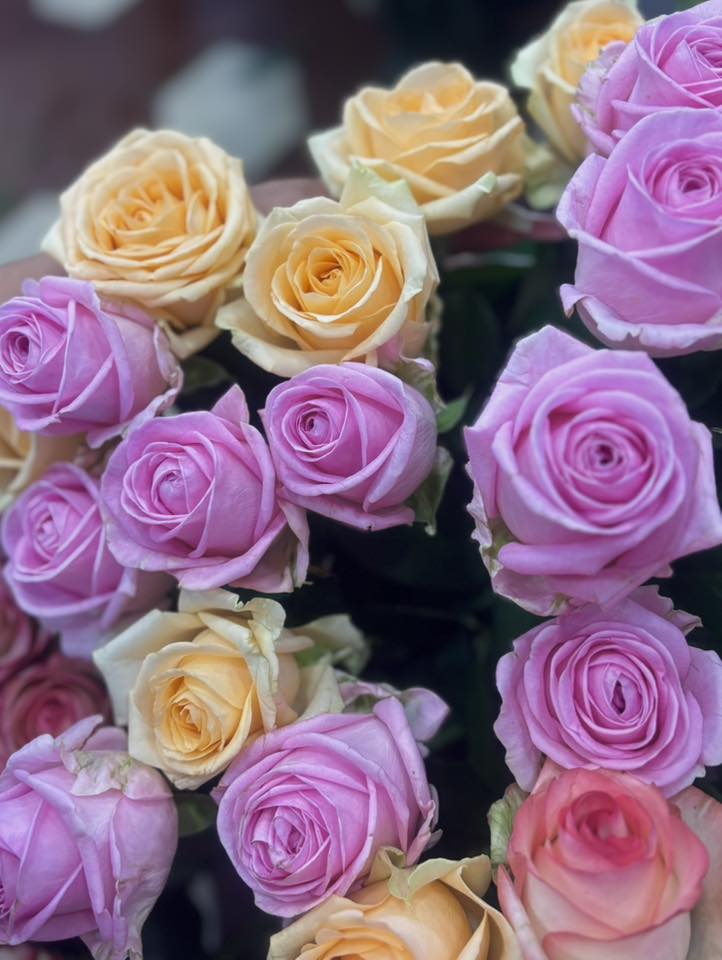 547196811 122211358022272540 557964861860473416 n