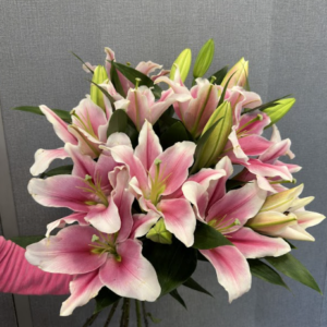 7 szál királyliliom