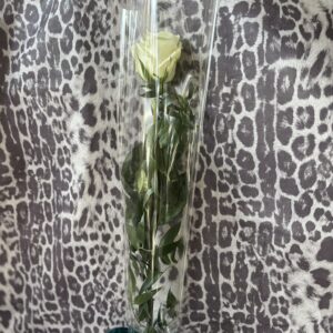 fehér rózsa zölddel csomagolva